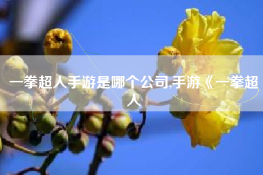 一拳超人手游是哪个公司,手游《一拳超人