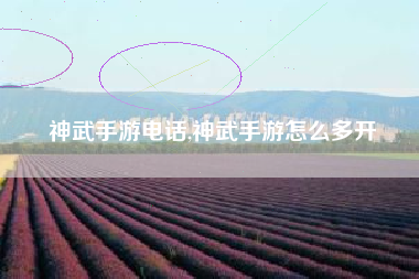 神武手游电话,神武手游怎么多开