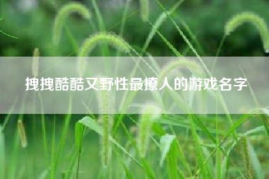 拽拽酷酷又野性最撩人的游戏名字