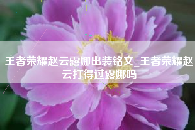 王者荣耀赵云露娜出装铭文_王者荣耀赵云打得过露娜吗