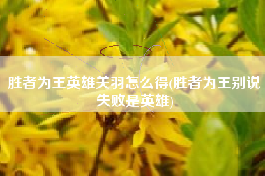 胜者为王英雄关羽怎么得(胜者为王别说失败是英雄)