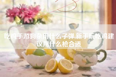 吃鸡手游狗杂用什么子弹,新手玩吃鸡建议用什么枪合适