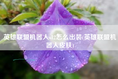 英雄联盟机器人s12怎么出装(英雄联盟机器人皮肤)