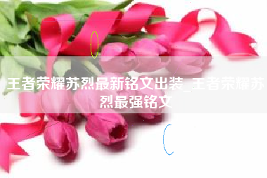 王者荣耀苏烈最新铭文出装_王者荣耀苏烈最强铭文