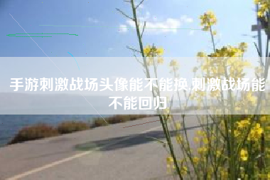 手游刺激战场头像能不能换,刺激战场能不能回归