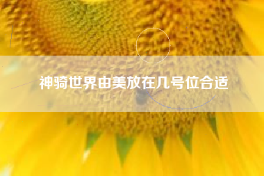 神骑世界由美放在几号位合适