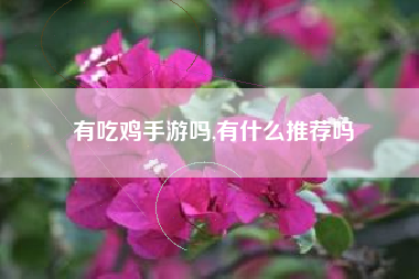 有吃鸡手游吗,有什么推荐吗