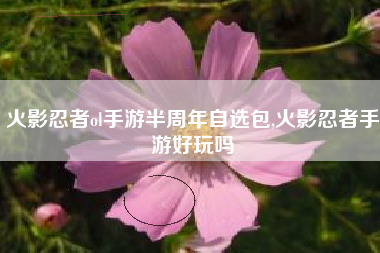 火影忍者ol手游半周年自选包,火影忍者手游好玩吗