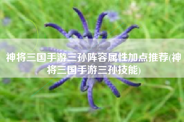 神将三国手游三孙阵容属性加点推荐(神将三国手游三孙技能)
