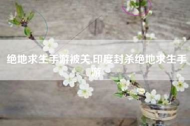 绝地求生手游被关,印度封杀绝地求生手游