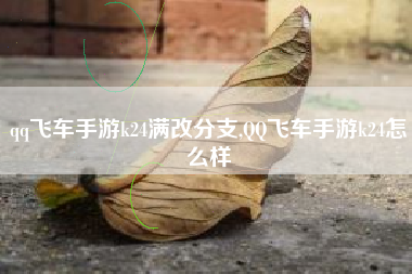 qq飞车手游k24满改分支,QQ飞车手游k24怎么样