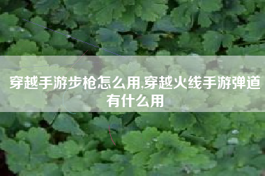 穿越手游步枪怎么用,穿越火线手游弹道有什么用