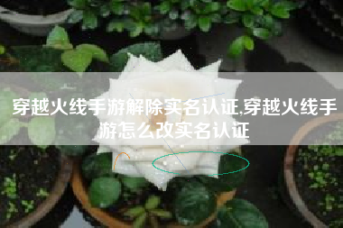 穿越火线手游解除实名认证,穿越火线手游怎么改实名认证