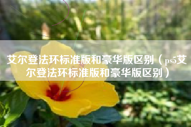 艾尔登法环标准版和豪华版区别（ps5艾尔登法环标准版和豪华版区别）