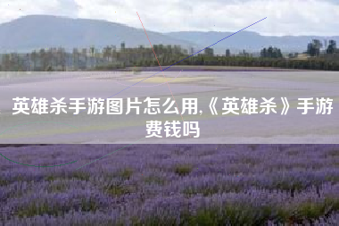 英雄杀手游图片怎么用,《英雄杀》手游费钱吗