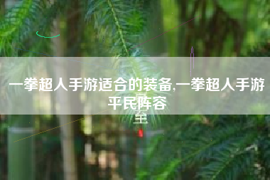 一拳超人手游适合的装备,一拳超人手游平民阵容