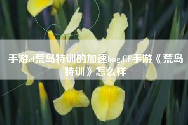 手游cf荒岛特训的加速bug,CF手游《荒岛特训》怎么样