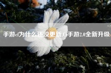 手游cf为什么还没更新,Cf手游2.0全新升级