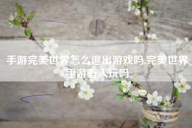手游完美世界怎么退出游戏吗,完美世界手游有人玩吗