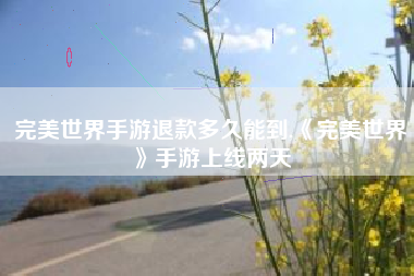 完美世界手游退款多久能到,《完美世界》手游上线两天
