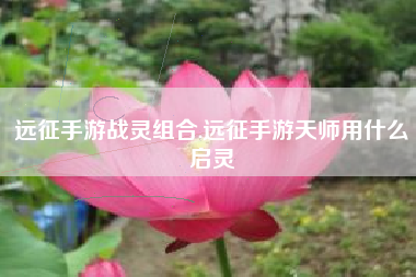 远征手游战灵组合,远征手游天师用什么启灵