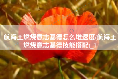 航海王燃烧意志基德怎么堆速度(航海王燃烧意志基德技能搭配)_1