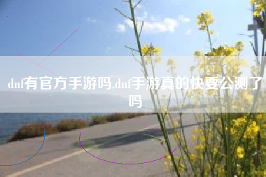 dnf有官方手游吗,dnf手游真的快要公测了吗