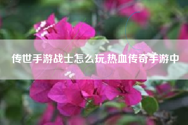 传世手游战士怎么玩,热血传奇手游中
