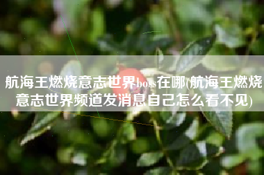 航海王燃烧意志世界boss在哪(航海王燃烧意志世界频道发消息自己怎么看不见)