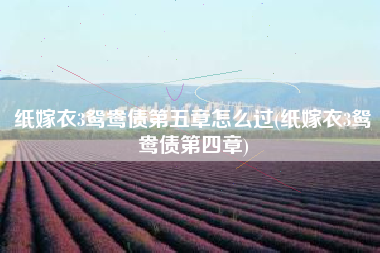 纸嫁衣3鸳鸯债第五章怎么过(纸嫁衣3鸳鸯债第四章)