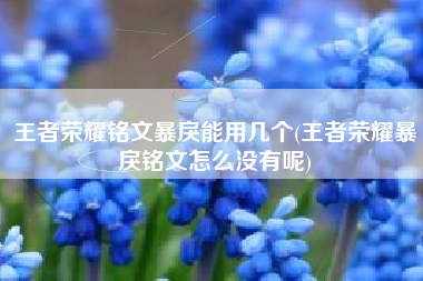 王者荣耀铭文暴戾能用几个(王者荣耀暴戾铭文怎么没有呢)