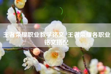 王者荣耀职业教学铭文_王者荣耀各职业铭文搭配