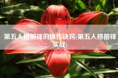 第五人格前锋的操作诀窍(第五人格前锋实战)
