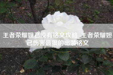 王者荣耀妲己没有铭文攻略_王者荣耀妲己伤害最狠的出装铭文