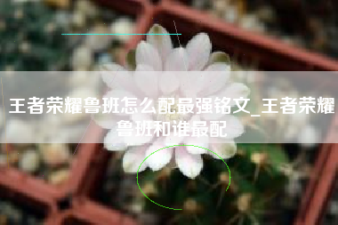 王者荣耀鲁班怎么配最强铭文_王者荣耀鲁班和谁最配