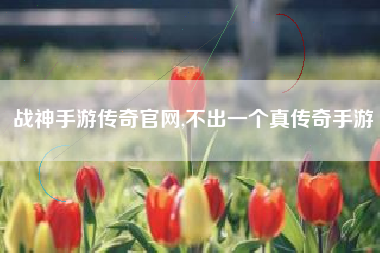战神手游传奇官网,不出一个真传奇手游