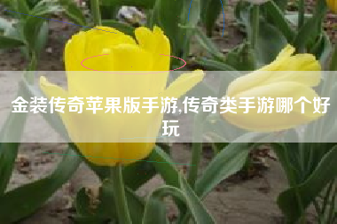 金装传奇苹果版手游,传奇类手游哪个好玩