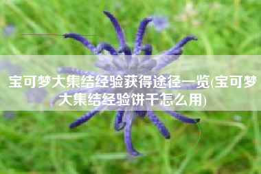 宝可梦大集结经验获得途径一览(宝可梦大集结经验饼干怎么用)