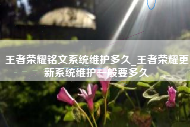 王者荣耀铭文系统维护多久_王者荣耀更新系统维护一般要多久