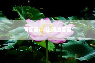 简配音(未定简遇配音)