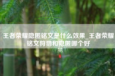 王者荣耀隐匿铭文是什么效果_王者荣耀铭文狩猎和隐匿哪个好