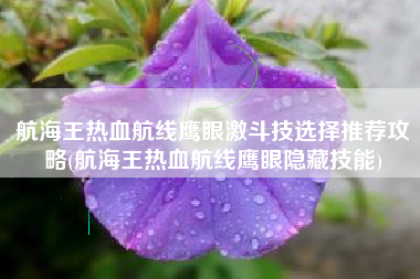 航海王热血航线鹰眼激斗技选择推荐攻略(航海王热血航线鹰眼隐藏技能)