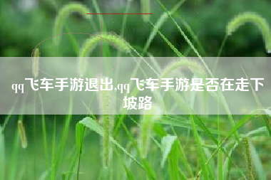 qq飞车手游退出,qq飞车手游是否在走下坡路
