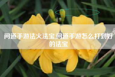 问道手游法火法宝,问道手游怎么打到好的法宝