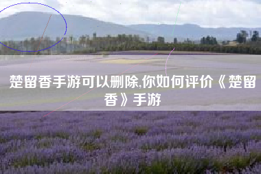 楚留香手游可以删除,你如何评价《楚留香》手游