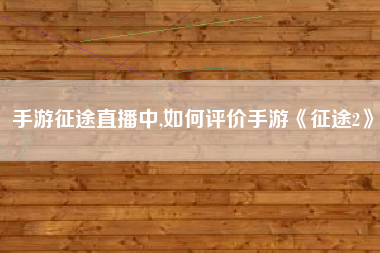 手游征途直播中,如何评价手游《征途2》
