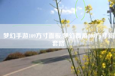 梦幻手游109方寸面板,梦幻西游109方寸新套路