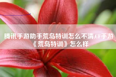 腾讯手游助手荒岛特训怎么不清,CF手游《荒岛特训》怎么样