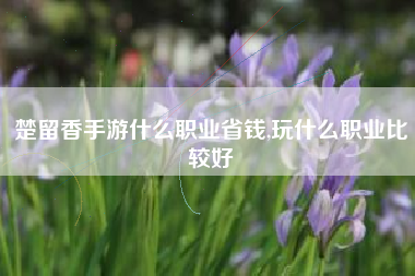 楚留香手游什么职业省钱,玩什么职业比较好