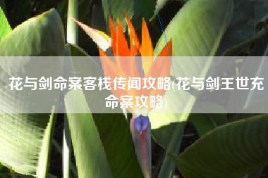 花与剑命案客栈传闻攻略(花与剑王世充命案攻略)